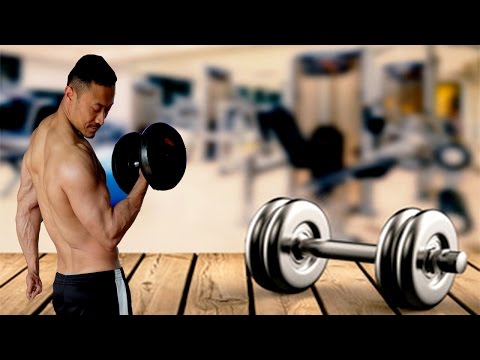Lesson 2 | Machine Press | Shoulder Workout Beginners |  Gym Exercise, Fitness tips Tutorials
