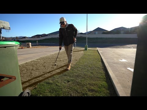 Lawn Painting // From Brown To Green Instantly