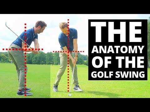 THE ANATOMY OF THE GOLF SWING