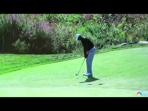 Tiger Woods – Low Chip
