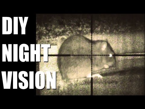 Fieldsports Britain – DIY night vision + flying hawks on pheasants