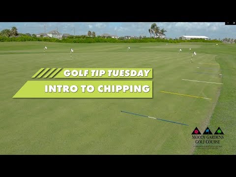 Golf Tip Tuesday: Intro to Chipping