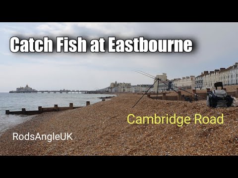 Catch Fish at Eastbourne: CAMBRIDGE ROAD