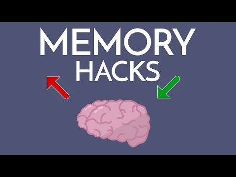 Most Effective Way to IMPROVE MEMORY (& Memorize ANYTHING)