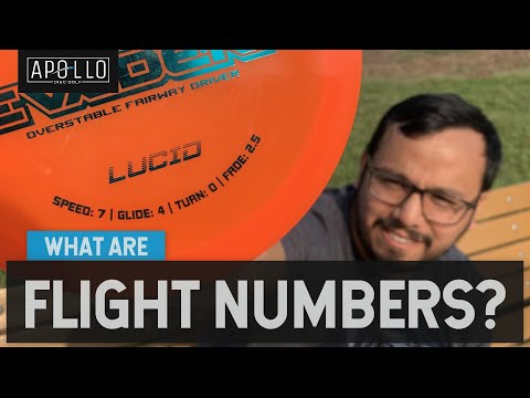 What Do Flight Numbers Mean? | Disc Golf Beginner’s Guide