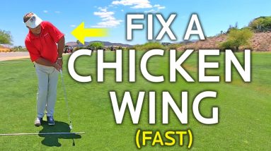 FIX A CHICKEN WING FAST