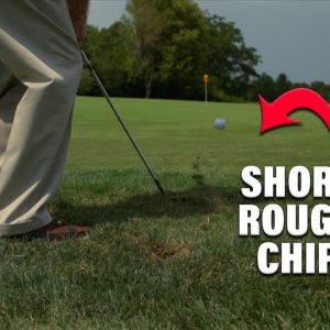 Dr. Suttie Chip Tip Out of the Rough