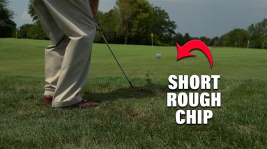 Dr. Suttie Chip Tip Out of the Rough