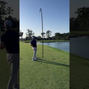Would you Hit The Green on Hole 17 at TPC Sawgrass? #golfshorts #golfswing