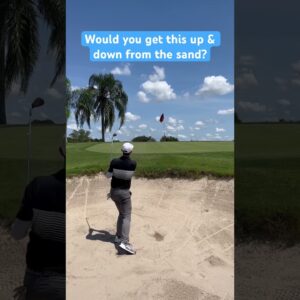 Would you get Up & Down from the Sand? #golf #golfshorts