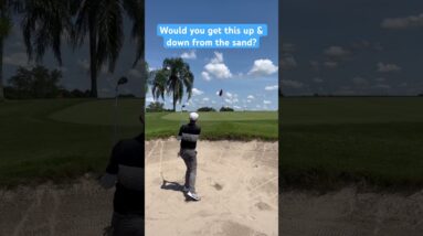 Would you get Up & Down from the Sand? #golf #golfshorts