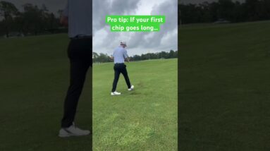 Easy Chipping Tip!  #golftips #golf #golfshorts