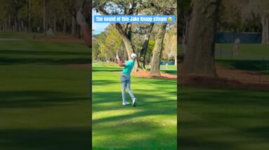 Such a Pure Sound and Swing from Jake Knapp! #golfswing #jakeknapp